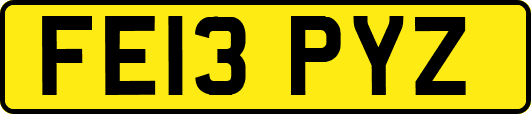FE13PYZ