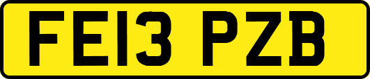FE13PZB