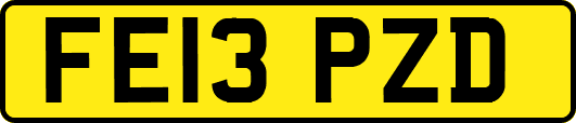 FE13PZD