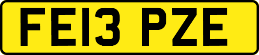 FE13PZE
