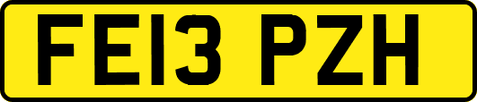 FE13PZH