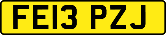 FE13PZJ