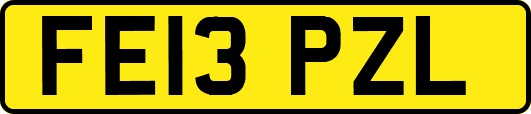 FE13PZL