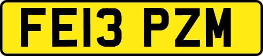 FE13PZM