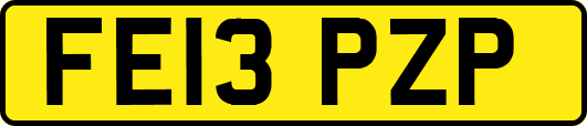 FE13PZP