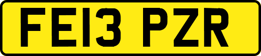 FE13PZR