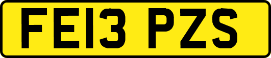FE13PZS