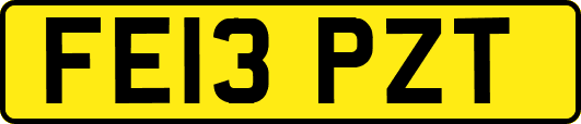 FE13PZT