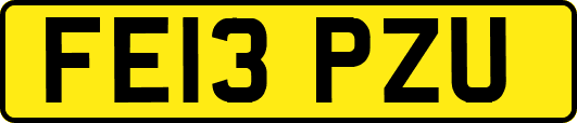 FE13PZU