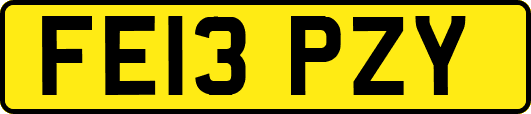 FE13PZY