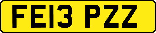 FE13PZZ