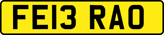 FE13RAO