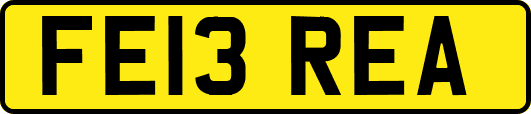 FE13REA