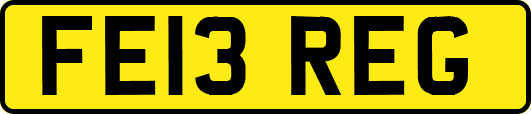 FE13REG