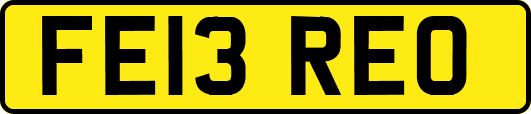 FE13REO