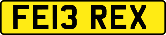 FE13REX