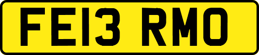 FE13RMO