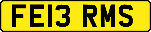 FE13RMS