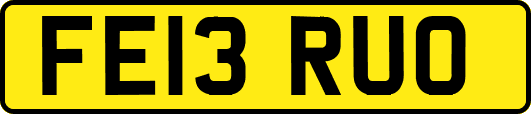 FE13RUO