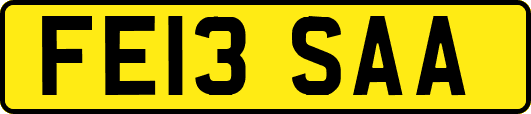 FE13SAA