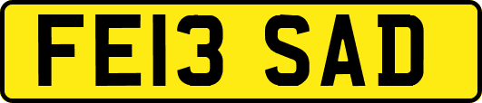 FE13SAD