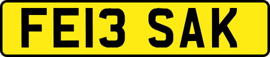 FE13SAK