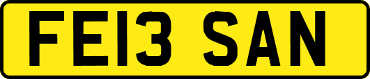 FE13SAN