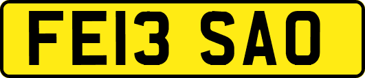 FE13SAO