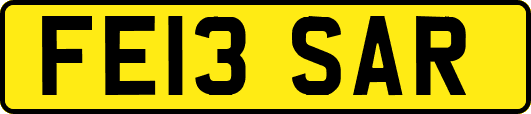 FE13SAR