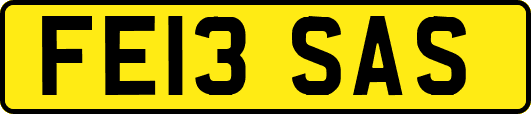 FE13SAS