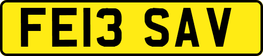 FE13SAV