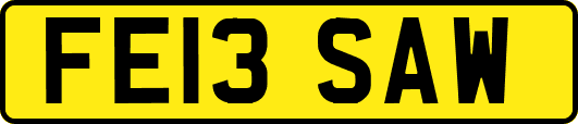 FE13SAW