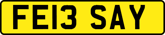 FE13SAY