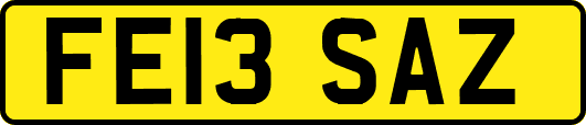 FE13SAZ
