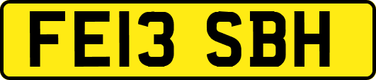 FE13SBH
