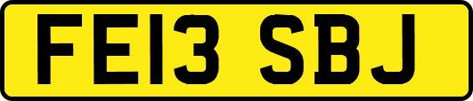 FE13SBJ