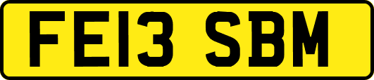 FE13SBM