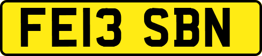 FE13SBN