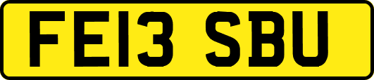 FE13SBU