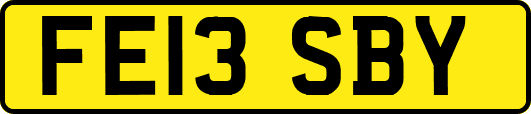FE13SBY