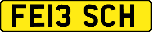 FE13SCH