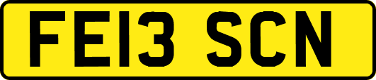 FE13SCN