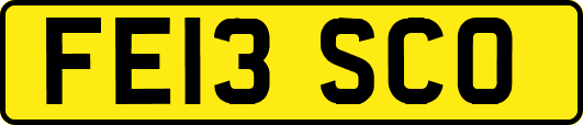 FE13SCO