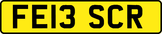 FE13SCR