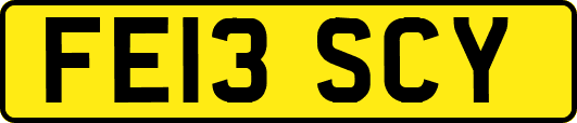 FE13SCY
