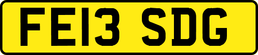 FE13SDG