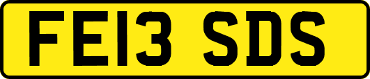 FE13SDS
