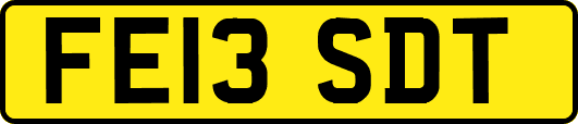 FE13SDT