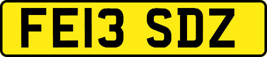 FE13SDZ