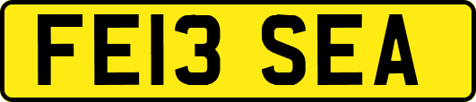 FE13SEA